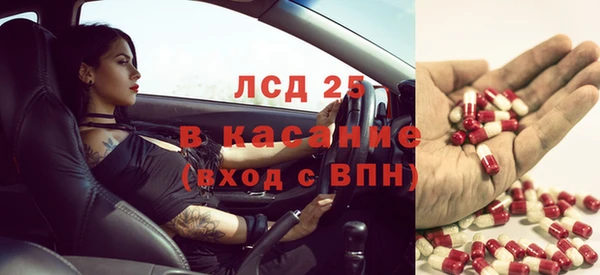 экстази Богданович