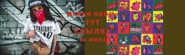 mdpv Богородицк