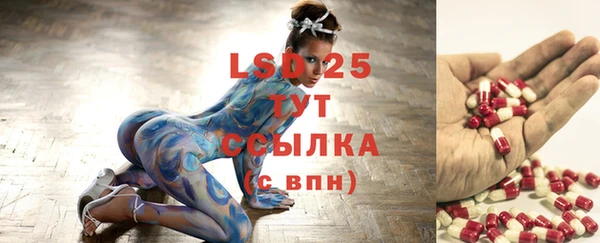 mdpv Богородицк